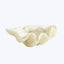 A fluffy, irregular-shaped popcorn kernel in pale yellow on white background.
