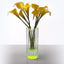 Vibrant yellow calla lilies elegantly displayed in a sleek vase.