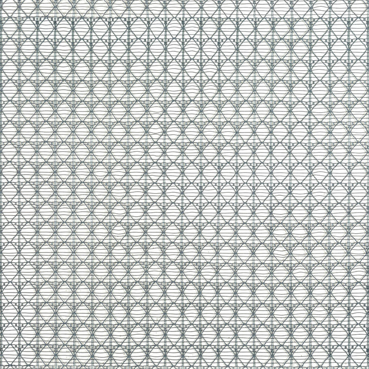 Visually captivating lattice-like pattern with overlapping circles and lines.