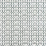 Visually captivating lattice-like pattern with overlapping circles and lines.