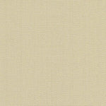 Image: A beige-colored canvas with a consistent, fine weave pattern.