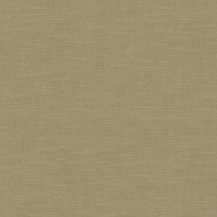 Seamless, textured surface with a muted, earthy beige grain pattern.