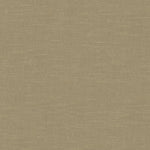 Seamless, textured surface with a muted, earthy beige grain pattern.