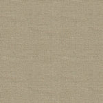 Close-up of a neutral beige canvas fabric with tight weave.