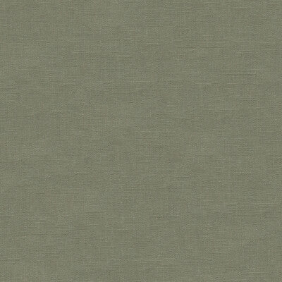 Low-resolution image showcasing textured green surface, unable to decipher further.