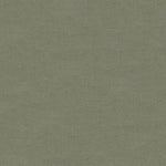 Low-resolution image showcasing textured green surface, unable to decipher further.
