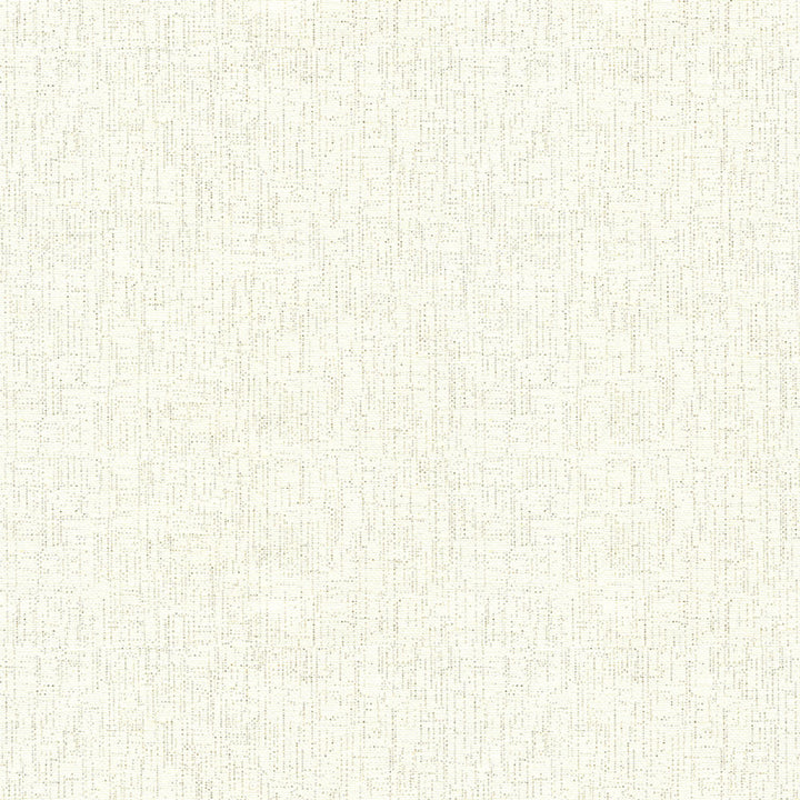 Caption: Limitations in identifying or assuming about people in images.