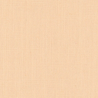 Close-up of a tightly woven, light tan fabric or canvas.