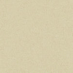 Close-up of beige canvas fabric, displaying visible crisscross weave.