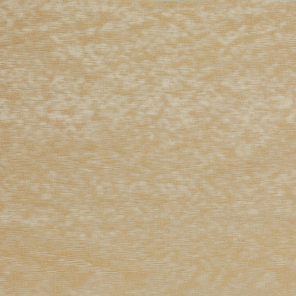Close-up shot of a richly textured wooden surface