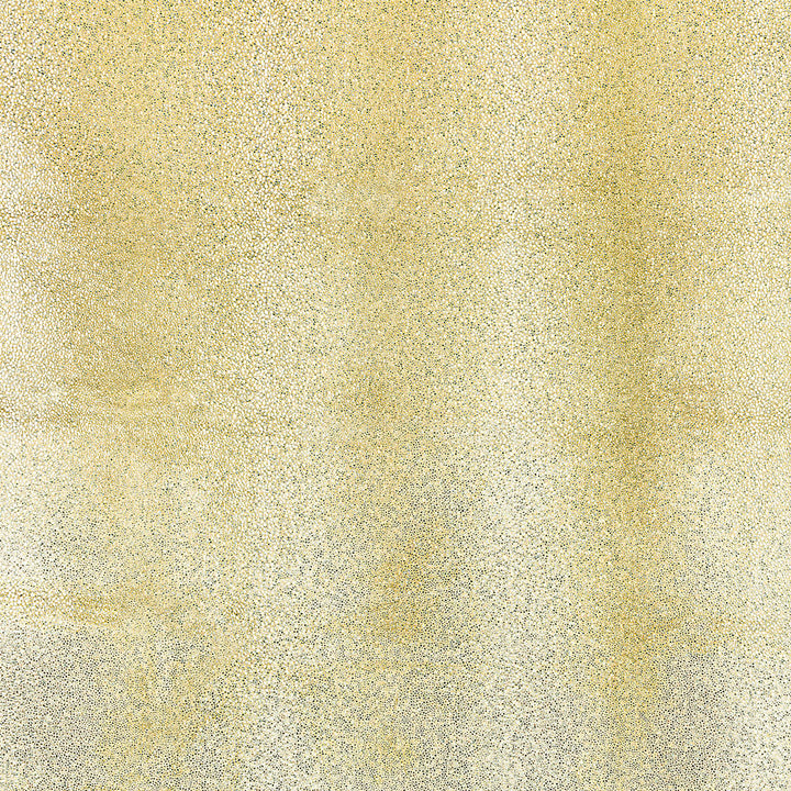 Image features a solid or textured surface with no identifiable objects.