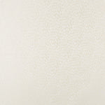 Close-up of a cream-colored textured surface resembling bumpy leather.