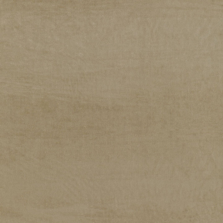 Abstract close-up of a velvety beige textured surface