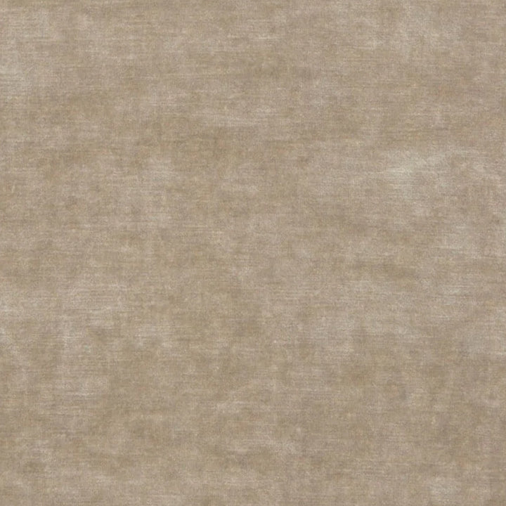 Parchment Velvet Fabric