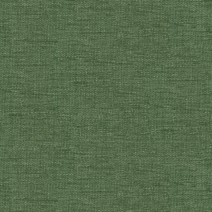 Image unavailable for visual description or further information. Apologies.