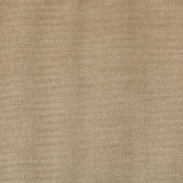 High-quality beige fabric with tight weave, perfect for upholstery and clothing.