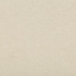 Close-up photograph of a pale beige textured material, possibly paper.