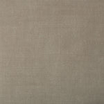 Close-up of neutral, fine-woven fabric; versatile for clothing and upholstery.