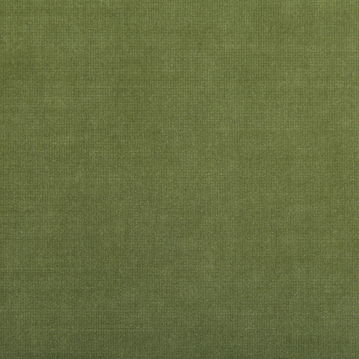 Close-up of green fabric displaying fine, mottled texture and weave.