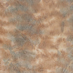 Abstract, textured surface with mottled brown and gray shades.