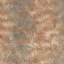 Abstract, textured surface with mottled brown and gray shades.