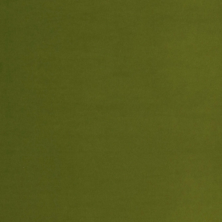 Error in displaying the image; solid dark green color visible.