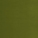 Error in displaying the image; solid dark green color visible.