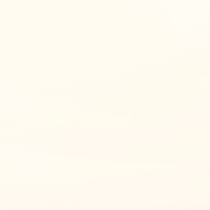 Minimalist art: A blank canvas with a uniform off-white background.