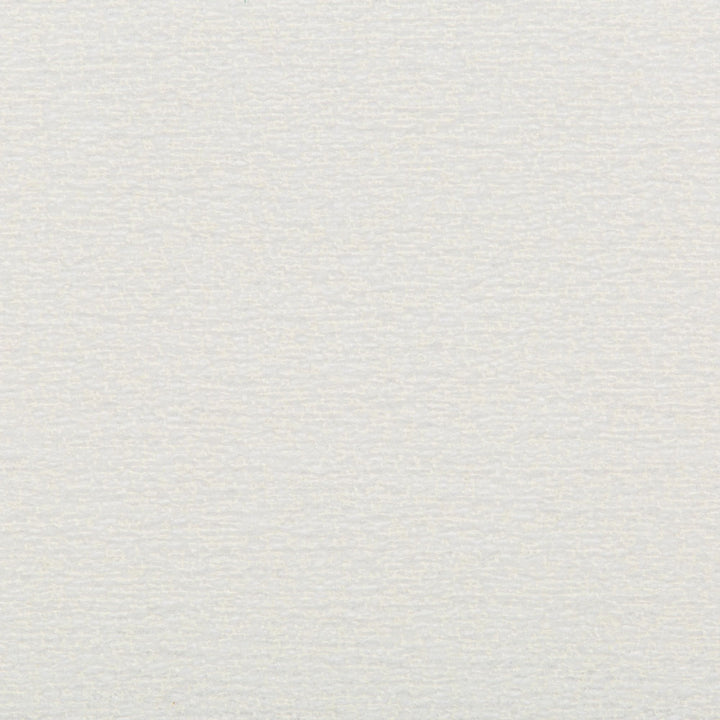 Close-up of a smooth, subtly textured surface with a grainy appearance.