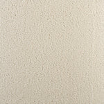 Close-up of a creamy beige carpet with uniform textured pile.