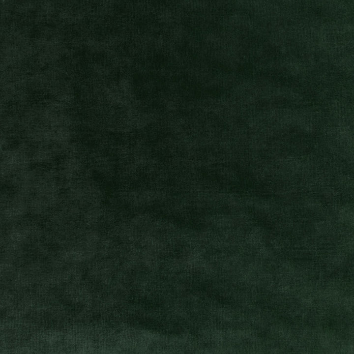 Close-up of a dark green, velvety texture with no patterns or objects.