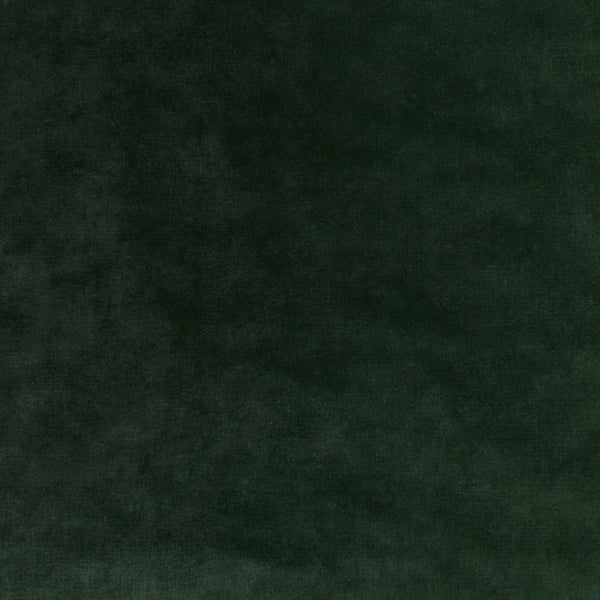 Close-up of a dark green, velvety texture with no patterns or objects.
