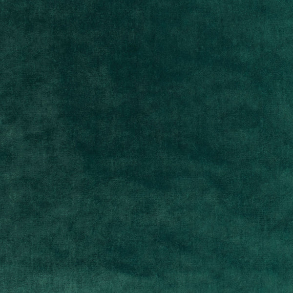 Close-up shot of a plush, dark green velvet fabric texture.