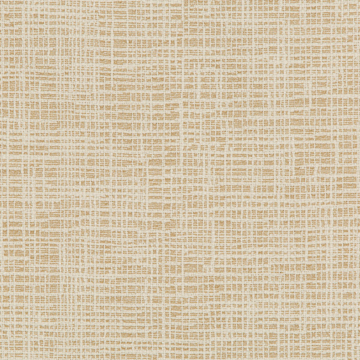 Image: A person shrugging with their hands up in confusion.

Caption: Expressing inability to help with a perplexing request visually.