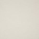 Close-up shot of a uniform, fine-weave canvas texture in beige.