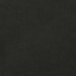 Image description unavailable.