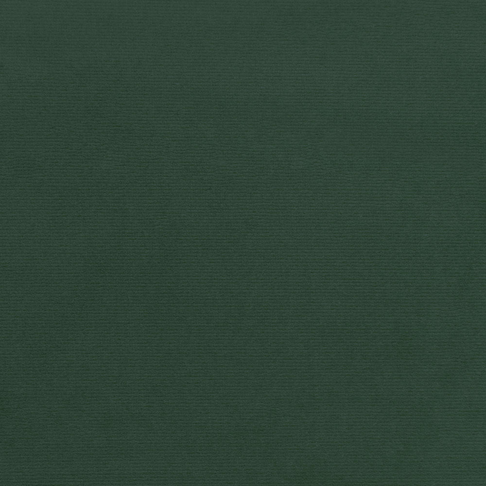 Close-up shot of a solid dark green textured background.