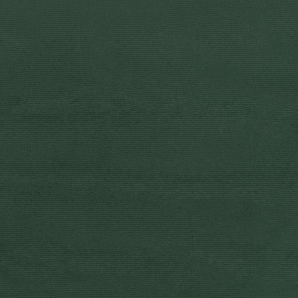 Close-up shot of a solid dark green textured background.