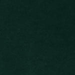 Uniform dark green textured background with subtle fabric-like pattern.