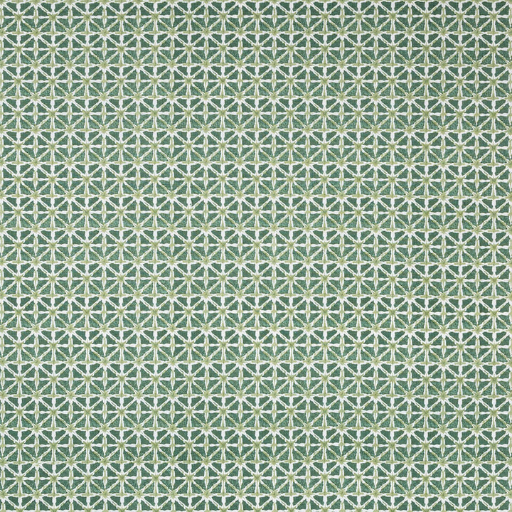 Close-up of a tessellated geometric pattern with white star-like shapes on a green background, suitable for versatile purposes.