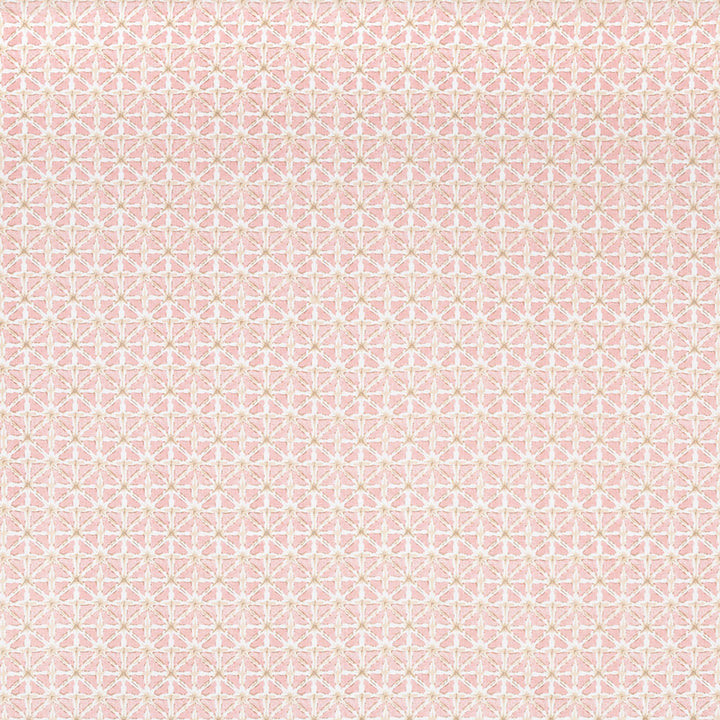Delicate pink star-like shapes create a symmetrical and ornamental pattern.