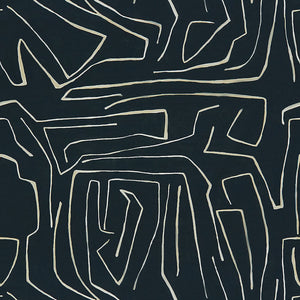 Abstract maze-like patterns of irregular off-white lines on dark background.