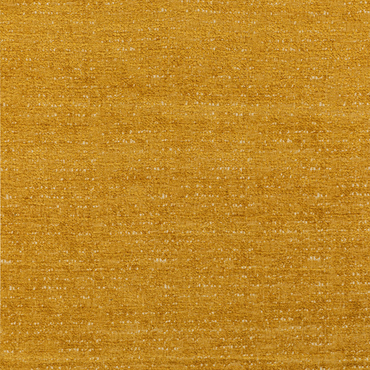 Close-up of a golden-yellow textured surface with speckles of white.