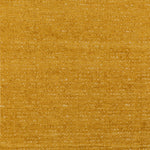 Close-up of a golden-yellow textured surface with speckles of white.