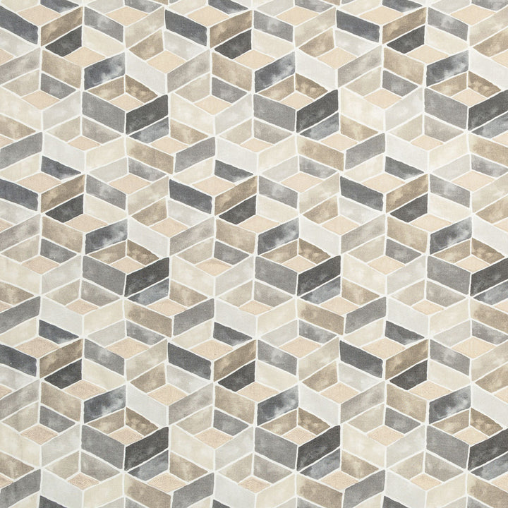 Geometric hexagonal tiles in neutral shades create a three-dimensional illusion.