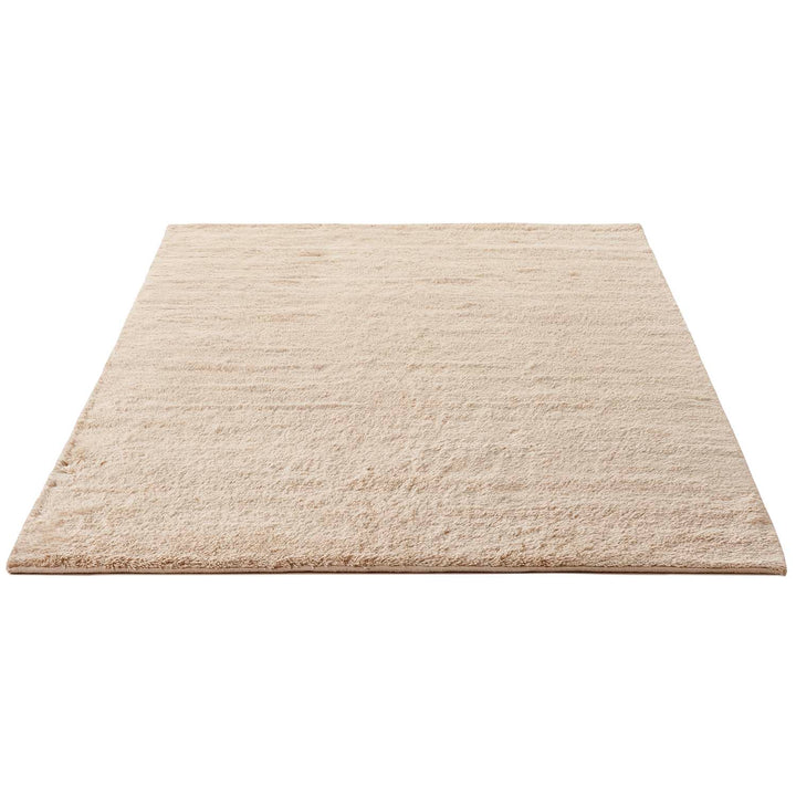 Minimalist rectangular indoor rug with soft texture and clean design.
