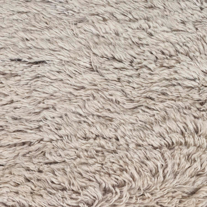Close-up of long, wavy beige fur with subtle shading variations.