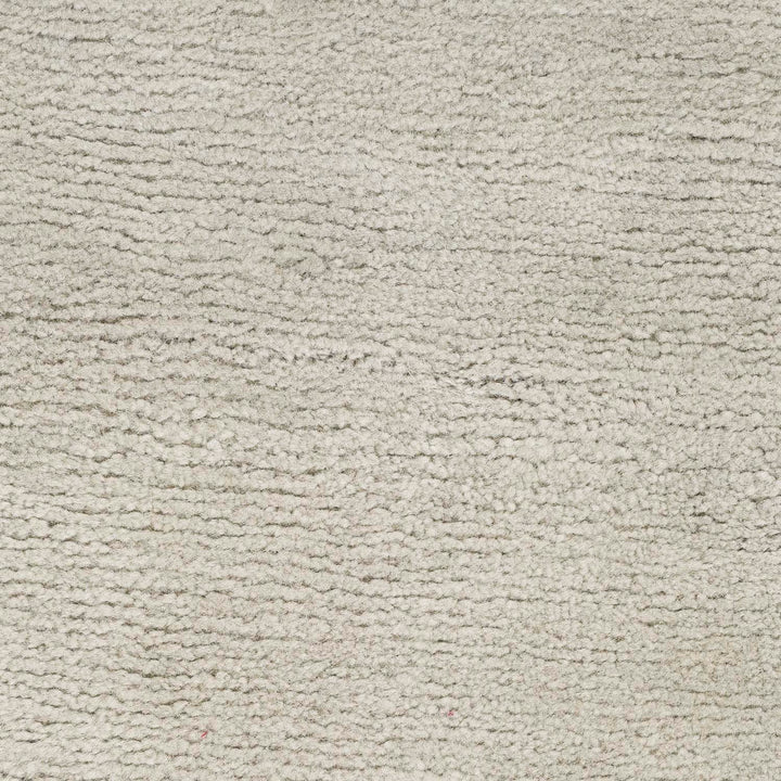 Soft and plush light-colored carpet with subtle variations in shading.