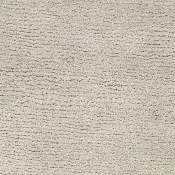 Soft and plush light-colored carpet with subtle variations in shading.