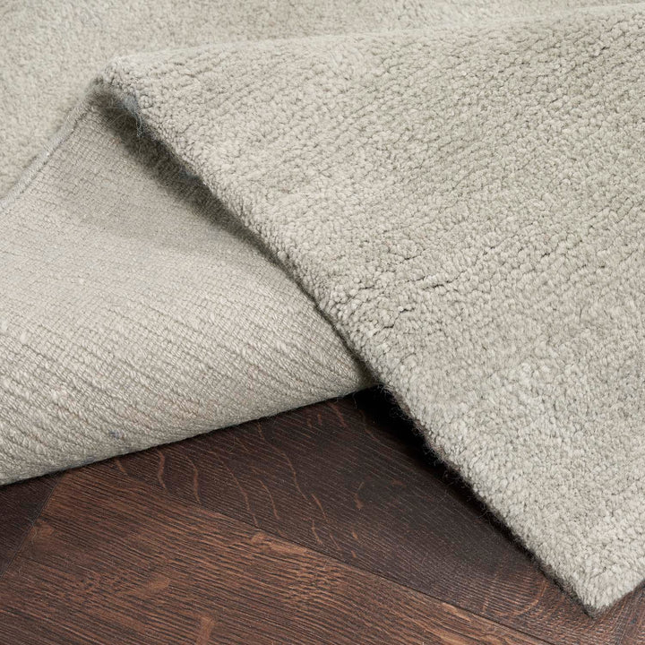 Close-up of a light gray carpet on a dark wood floor.